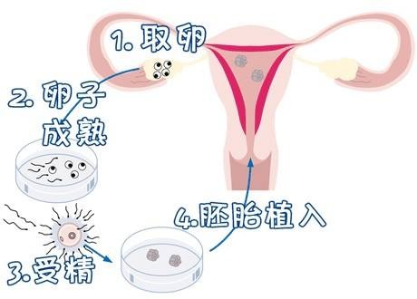男科主任